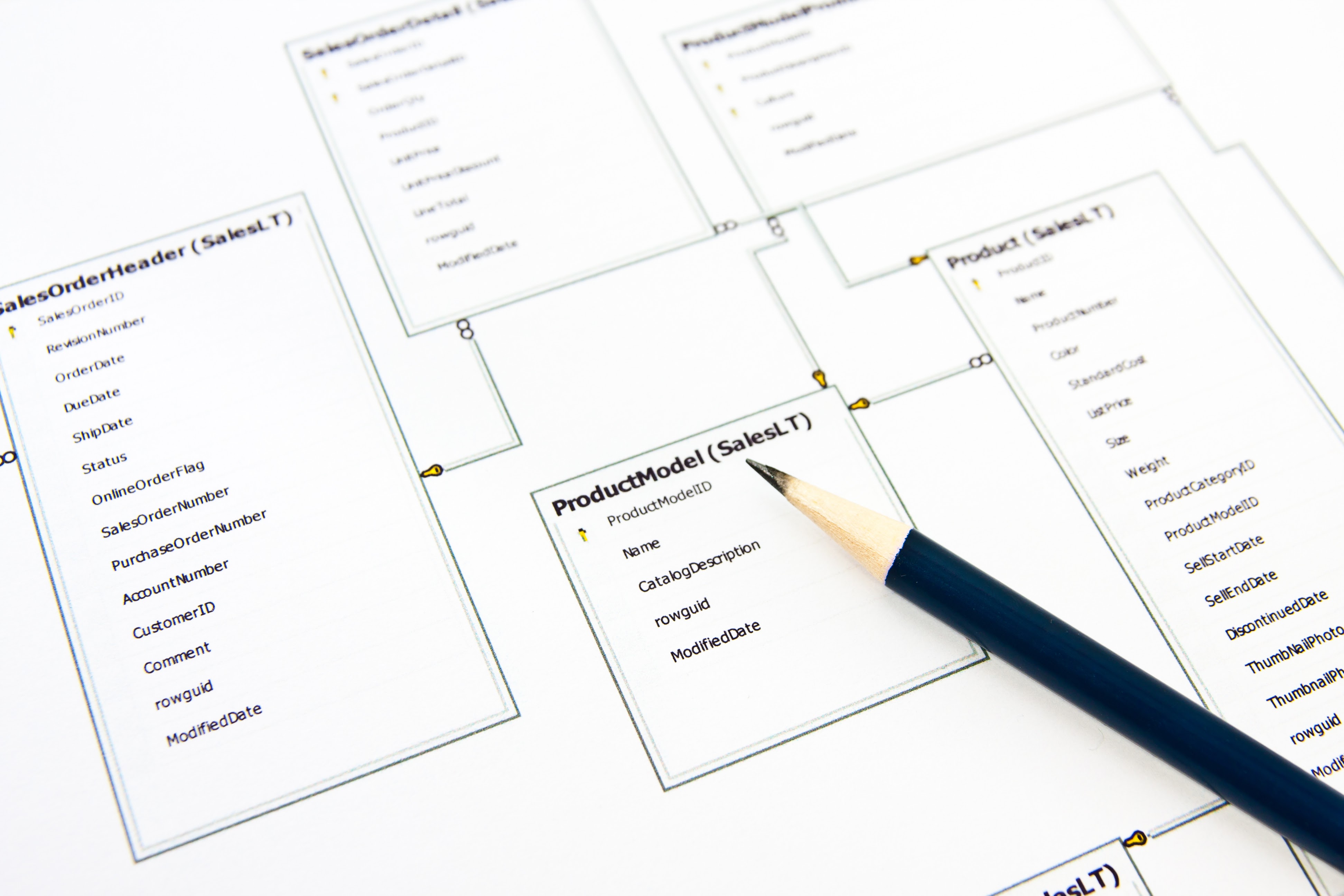 How to Write an APA Paper: A Step-by-Step Guide for Students